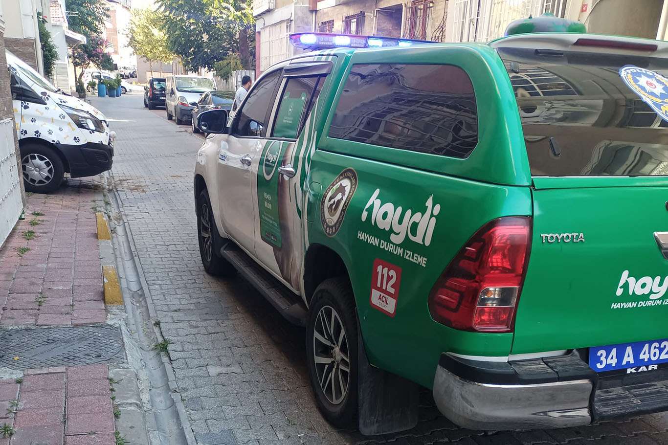 İLKHA'nın gündeme aldığı kedileri öldüren pitbull cinsi köpekler belediye tarafından toplatıldı